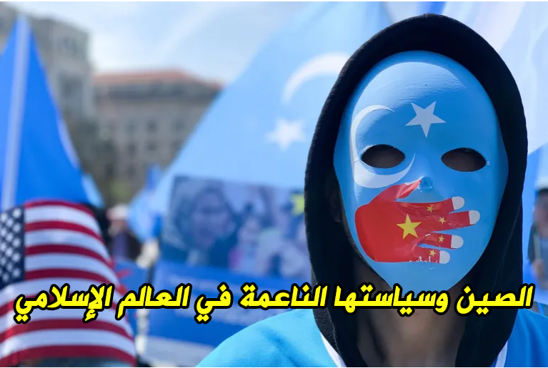 الصين وسياستها الناعمة في العالم الإسلامي