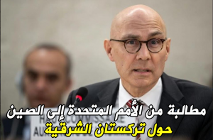 مطالبة من الأمم المتحدة إلى الصين حول تركستان الشرقية
