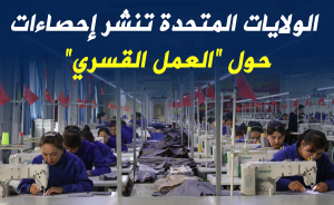 الولايات المتحدة تنشر إحصاءات حول 