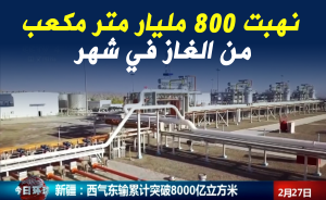 نهبت 800 مليار متر مكعب من الغاز في شهر