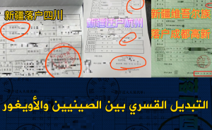التبديل القسري بين الصينيين والأويغور