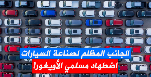الجانب المظلم لصناعة السيارات اضطهاد مسلمي الأويغور وعمالة أطفال وسخرة!