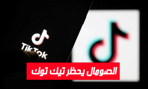 الصومال يحظر 