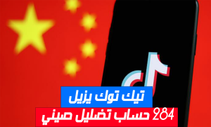 تيك توك يزيل 284 حساب تضليل صيني