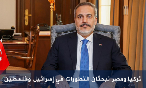 تركيا ومصر تبحثان التطورات في إسرائيل وفلسطين