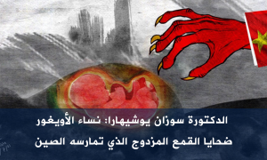 ظاهرة الشفق القطبي في أجزاء كثيرة من تركستان الشرقية