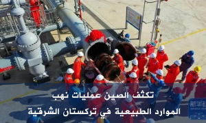 تكثف الصين عمليات نهب الموارد الطبيعية في تركستان الشرقية