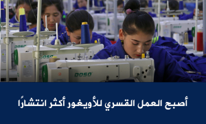 أصبح العمل القسري للأويغور أكثر انتشارًا