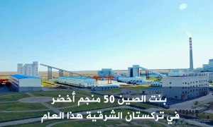 بنت الصين 50 منجم أخضر في تركستان الشرقية هذا العام