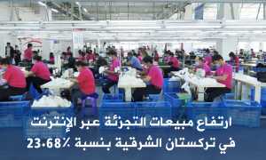 ارتفاع مبيعات التجزئة عبر الإنترنت في تركستان الشرقية بنسبة 23.68% في عام 2023