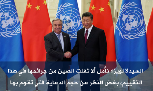 السيدة لويزا: 
