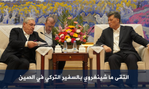 التقى ما شينغروي بالسفير التركي في الصين
