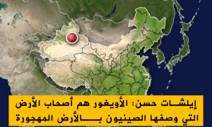 إيلشات حسن: الأويغور هم أصحاب الأرض التي وصفها الصينيون بـالأرض المهجورة