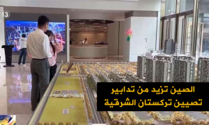 الصين تزيد من تدابير تصيين تركستان الشرقية