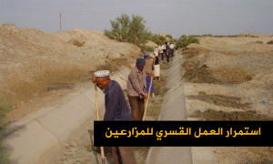 استمرار العمل القسري للمزارعين