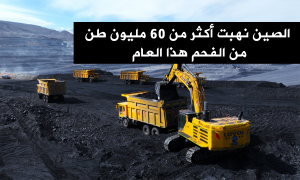 الصين نهبت أكثر من 60 مليون طن من الفحم هذا العام