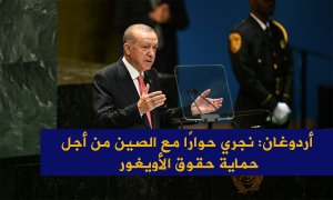 أردوغان: نجري حوارًا مع الصين من أجل حماية حقوق الأويغور