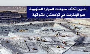 الصين تكثف مبيعات الموارد المنهوبة عبر الإنترنت في تركستان الشرقية
