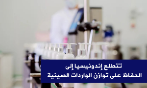 تتطلع إندونيسيا إلى الحفاظ على توازن الواردات الصينية