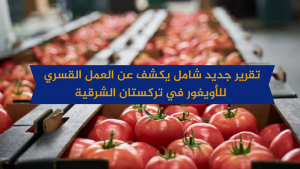 تقرير جديد شامل يكشف عن العمل القسري للأويغور في تركستان الشرقية