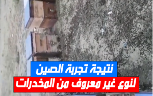 نتيجة تجربة الصين لنوع غير معروف من المخدرات