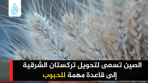 الصين تسعى لتحويل تركستان الشرقية إلى قاعدة مهمة للحبوب