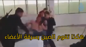 هكذا تقوم الصين بسرقة الأعضاء!!!