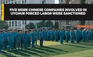 Five more Chinese companies involved in Uyghur forced labor were sanctioned
