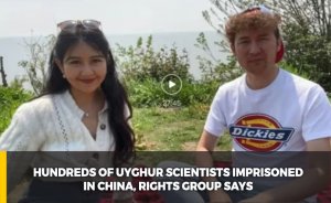 Hundreds of Uyghur scientists imprisoned in China, rights group says