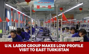 U.N. labor group makes low-profile visit to East Turkistan