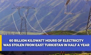 60 billion kilowatt hours of electricity was stolen from East Turkistan in half a year