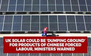 UK solar could be ‘dumping ground’ for products of Chinese forced labour, ministers warned