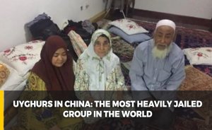 Uyghurs in China: The Most Heavily Jailed Group in the World