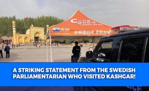 A Striking Statement from the Swedish Parliamentarian Who Visited Kashgar!