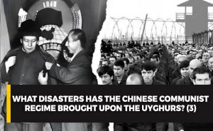 What disasters has the Chinese communist regime brought upon the Uyghurs? (3)