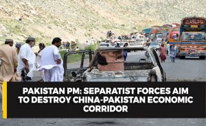 Pakistan PM: Separatist forces aim to destroy China-Pakistan Economic Corridor