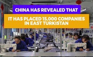 China has revealed that it has placed 15,000 companies in East Turkistan