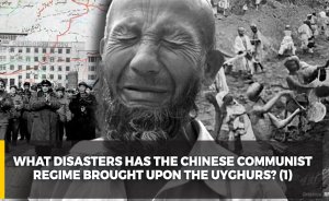 What disasters has the Chinese communist regime brought upon the Uyghurs? (1)