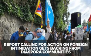 Report calling for action on foreign intimidation gets backing from diaspora communities