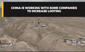 China is working with some companies to increase looting
