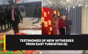 Testimonies of new witnesses from East Turkistan (8)