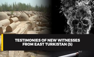 Testimonies of new witnesses from East Turkistan (5)