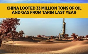 China looted 33 million tons of oil and gas from Tarim last year