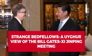 Strange Bedfellows: A Uyghur View of the Bill Gates–Xi Jinping Meeting