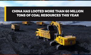 China has looted more than 60 million tons of coal resources this year