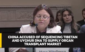China accused of sequencing Tibetan and Uyghur DNA to supply organ transplant market
