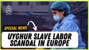 Uyghur slave labor scandal in Europe!