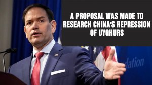 A proposal was made to research China's repression of Uyghurs