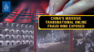 China's massive transnational online fraud ring exposed