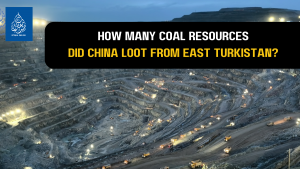 How many coal resources did China loot from East Turkistan?
